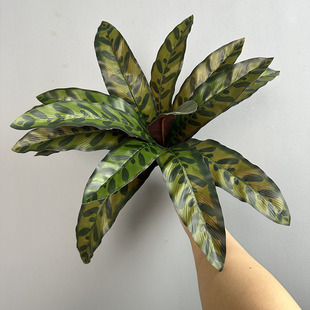 15~PβާާBާֲ辰b^z؈~ȸl