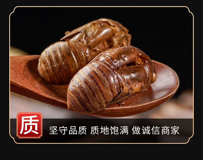 Chan Tui (Cicada Slough) — Washed Dried Cicada Molt for TCM Tea & Decoction key features