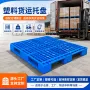 日式长方形一次性网格托盘