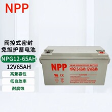NPPNPG12-65Ah늳12V65AHֱUPS/ԴUPS