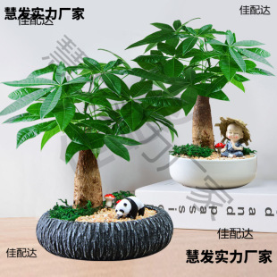 lֲؔ҃k[Gֲֲؔ￨ͨС