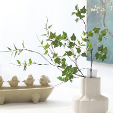 ����U��С�Gֲ�ܷ����~�͏d�҃ȷ���ֲ��ٻ��b[�������پ��l