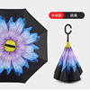 Transport with umbrella for car for double, umbrella, Birthday gift