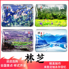 西藏林芝冰箱贴水晶玻璃纪念品雅鲁藏布江桃花沟色季拉山波密挑花