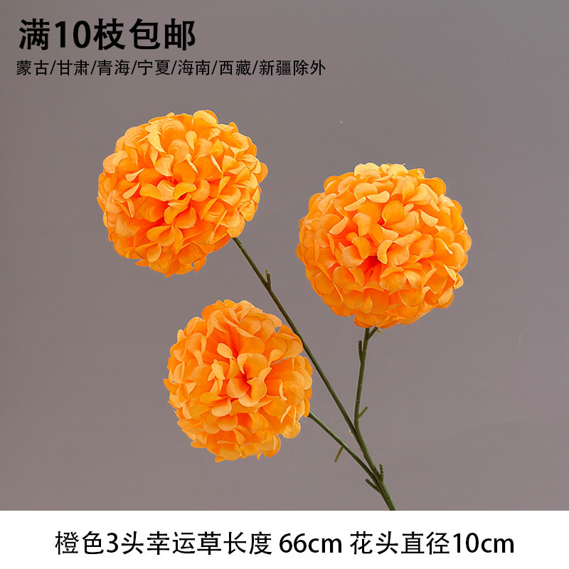 3头幸运球