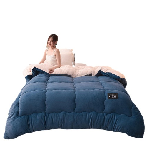 Thick Milk Fleece Winter Blanket Lamb Fleece Blanket Snow Fleece Single and Double Dormitory Warm Spring and Autumn Season Quilt Core Direct Manufacturer Sale