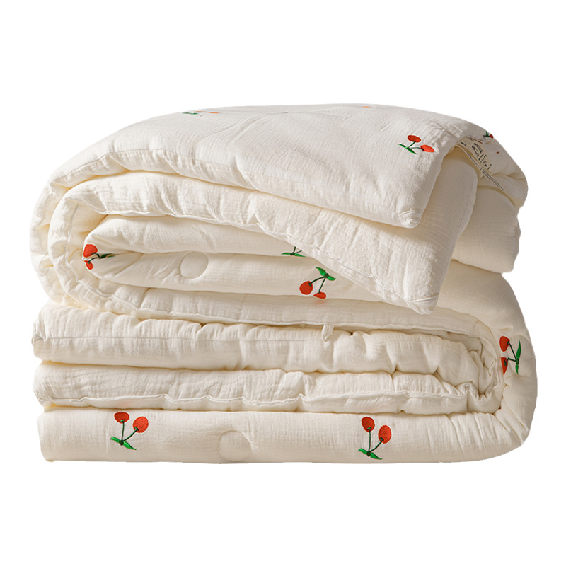 Colcha de soja de hilo de doble capa de invierno, colcha de invierno, colcha gruesa y cálida, núcleo, dormitorio individual, colcha de primavera y otoño