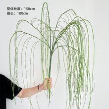 ��������֦��ѿ֦�������û�c�쾰���Gֲ�~����Ġ���ˇ�g���l