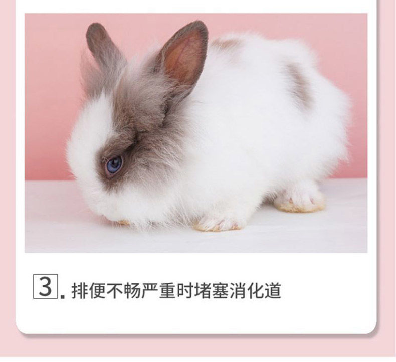 3a764f77-721c-4fe0-b7de-6f69dd1c5fa5.jpe