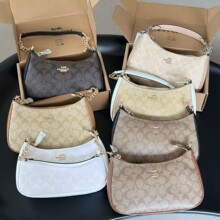 ޢC�ҊW�R�¿�TeriҸ��Ů���W���͹�ӡ���μ�����e�ٴ�б�����