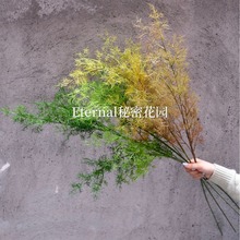 ����Gֲɺ���ݽ��~���F�����F����ɫ��Y��·���Gɫ�羳���l