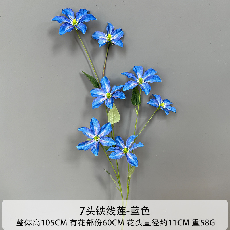7 클레마티스