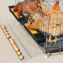 不锈钢鸡笼子田鸡笼加粗网自动下蛋鸡舍特大号养殖笼家用折叠鸡窝