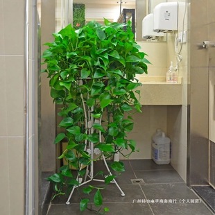 ����G�}�L�ّҒ�Gֲ�k���҃ȴ��~�G�jˮ�໨�ܺ��B�����L�lֲ��