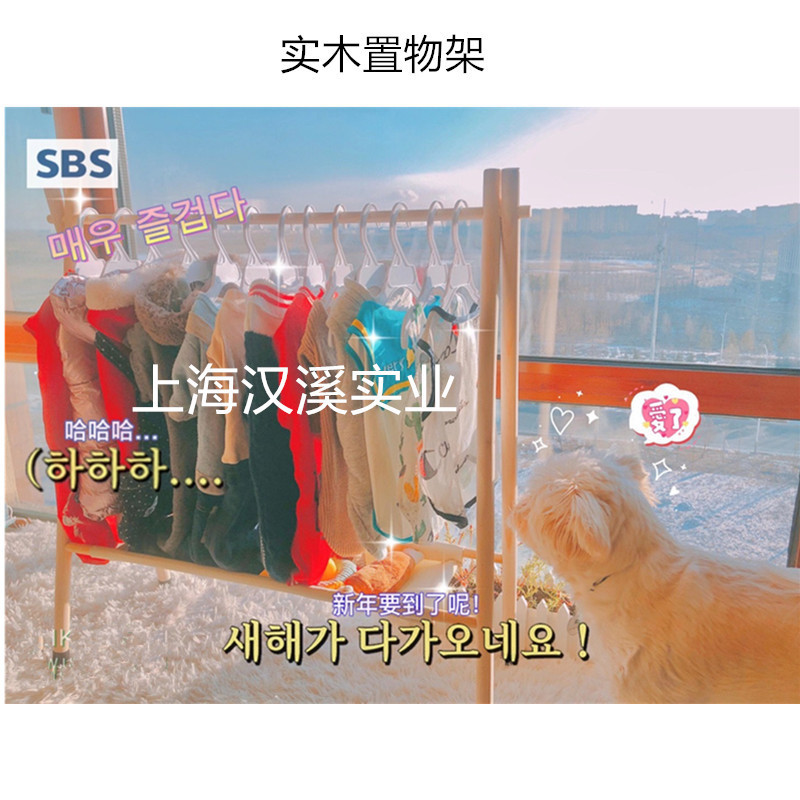 ペットハンガー洋服掛け洋服掛け床置き式犬犬たんす木収納棚二重a字バーベキュー棚|undefined