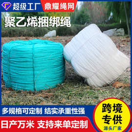 定制全新料聚乙烯塑料绳拉绳彩色收口打包绳养殖绳大棚压膜吊秧绳