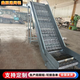 输送机;网带;传动链