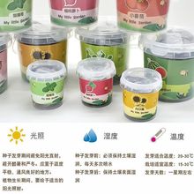 ��ͯ�Nֲ���԰Ʉ���ֲ��Diy�����k�����̨ꖹⷿ�ȷN�Ӵ��l���l
