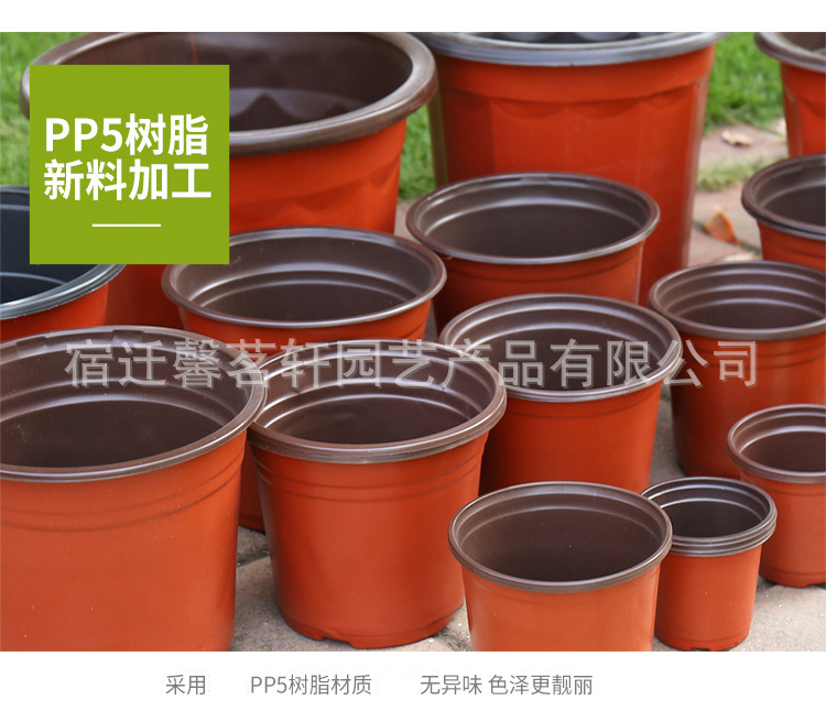 13232709986_1576707826