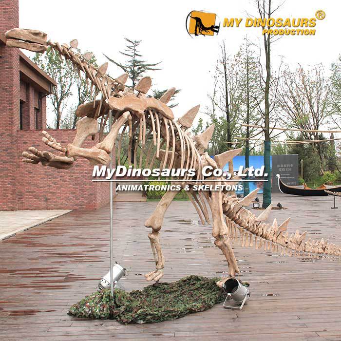 大型沱江龙恐龙仿真骨骼骨架化石 家居动物摆件景区橱窗餐厅装饰