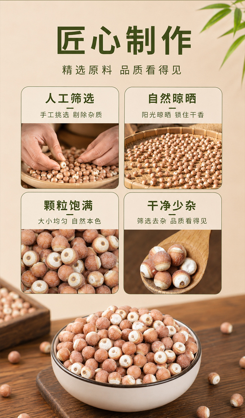 Dried Gorgon Fruit Qian Shi 500g Organic Red Skin Euryale Seeds for Congee and Soup key features