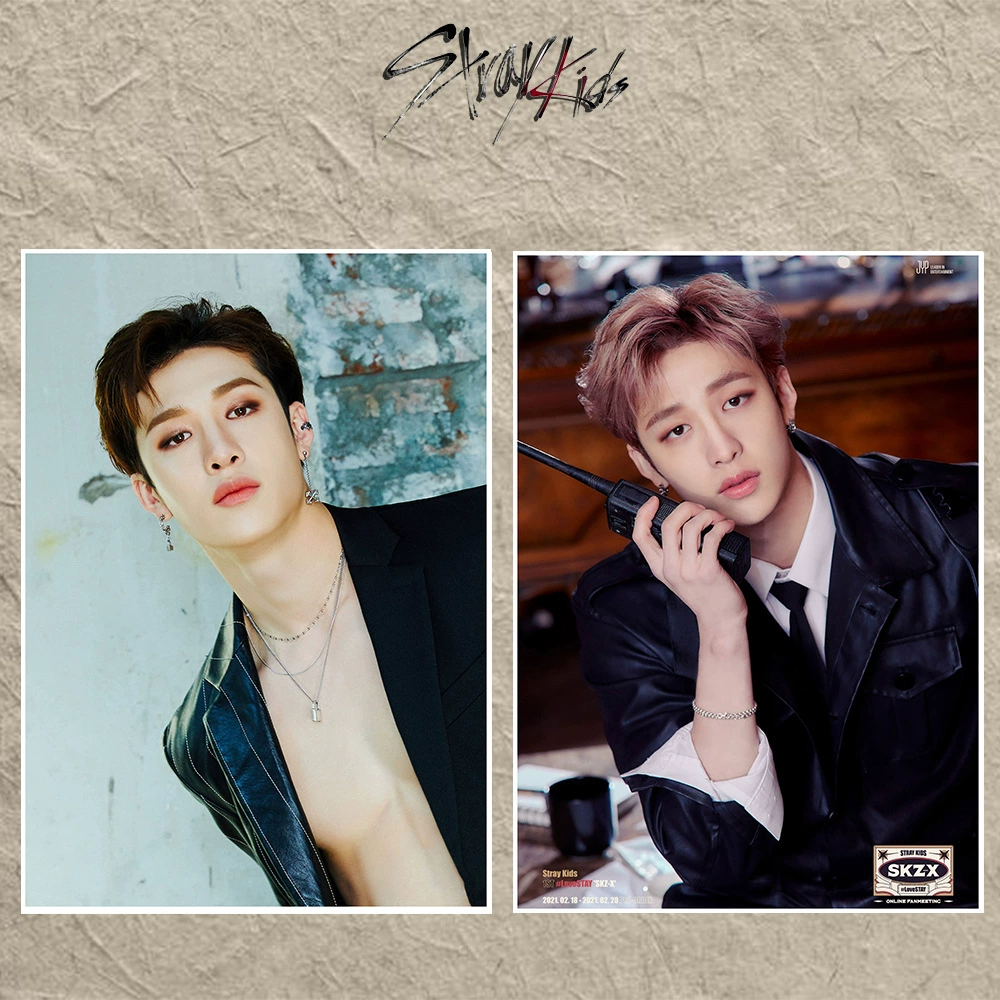 Странники (Stray Kids) встреча поклонников SKZ-X постер стикер-плакат фотографии SKZ олень патч патч
