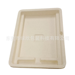 Paper Pulp Molded Packaging Dry and Wet Lined Storage Paper Tray Fixed Model Customized Biodegradable Packaging Box Paper Tray