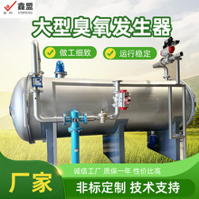 大型臭氧发生器 自来水废气污水脱硝空气源臭氧净化处理设备厂家