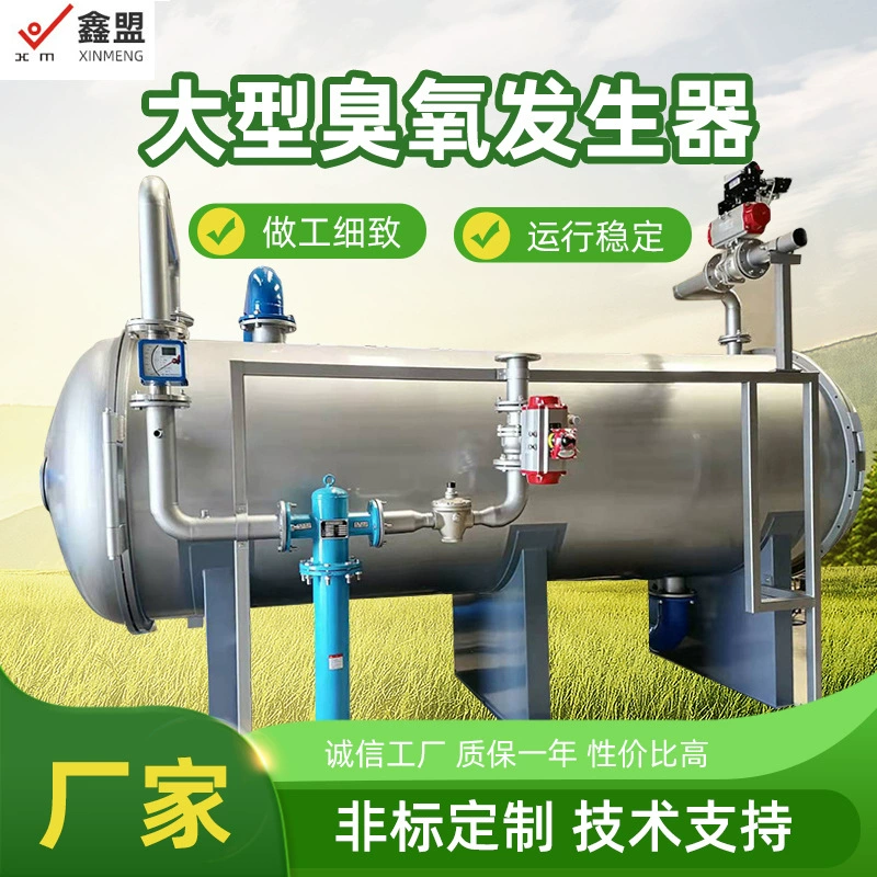 Большой генератор озона водопроводной воды сточных газов денитрации источника воздуха очистки озона производителей оборудования