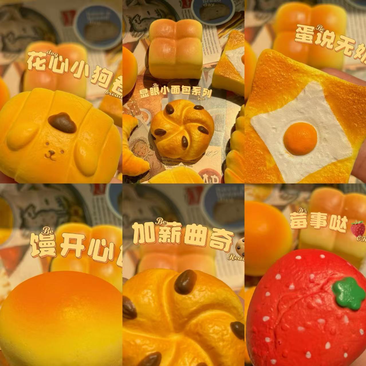 무작위 사진 1개의 느린 리바운드