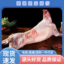 ���r����ȫ��חl��ȫ����������r��������������ϐ��10-31��