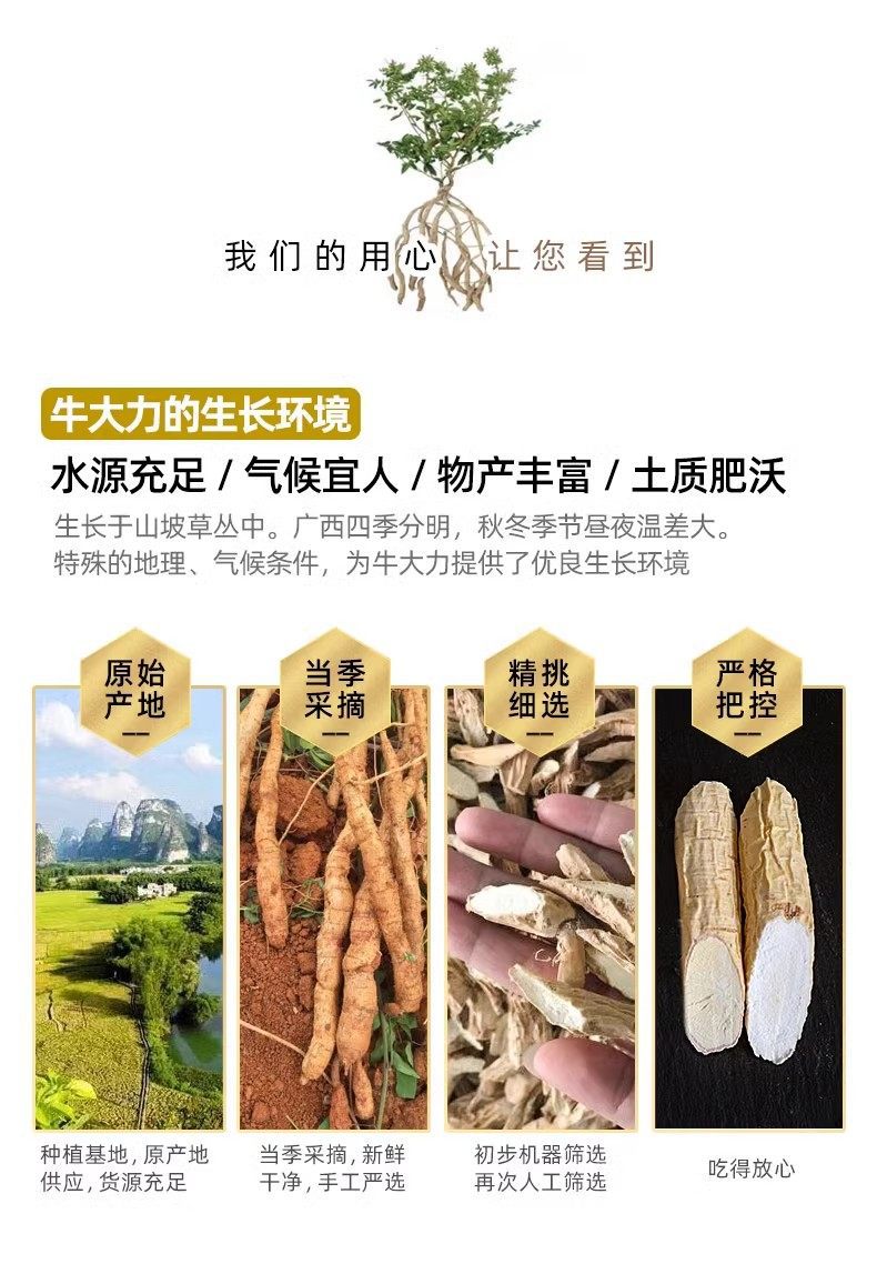 Millettia Root Niu Da Li Dried Slices 500g Wild Guangxi Herbal Root for Wine Infusion and Soup quality and texture