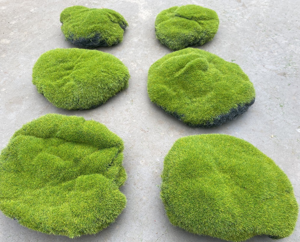 3 pieces of bulging light-colored moss (10-20cm each)