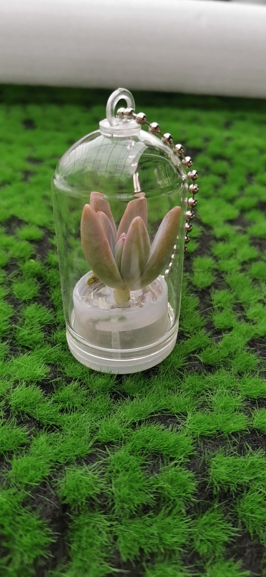 微信图片_20221120112953