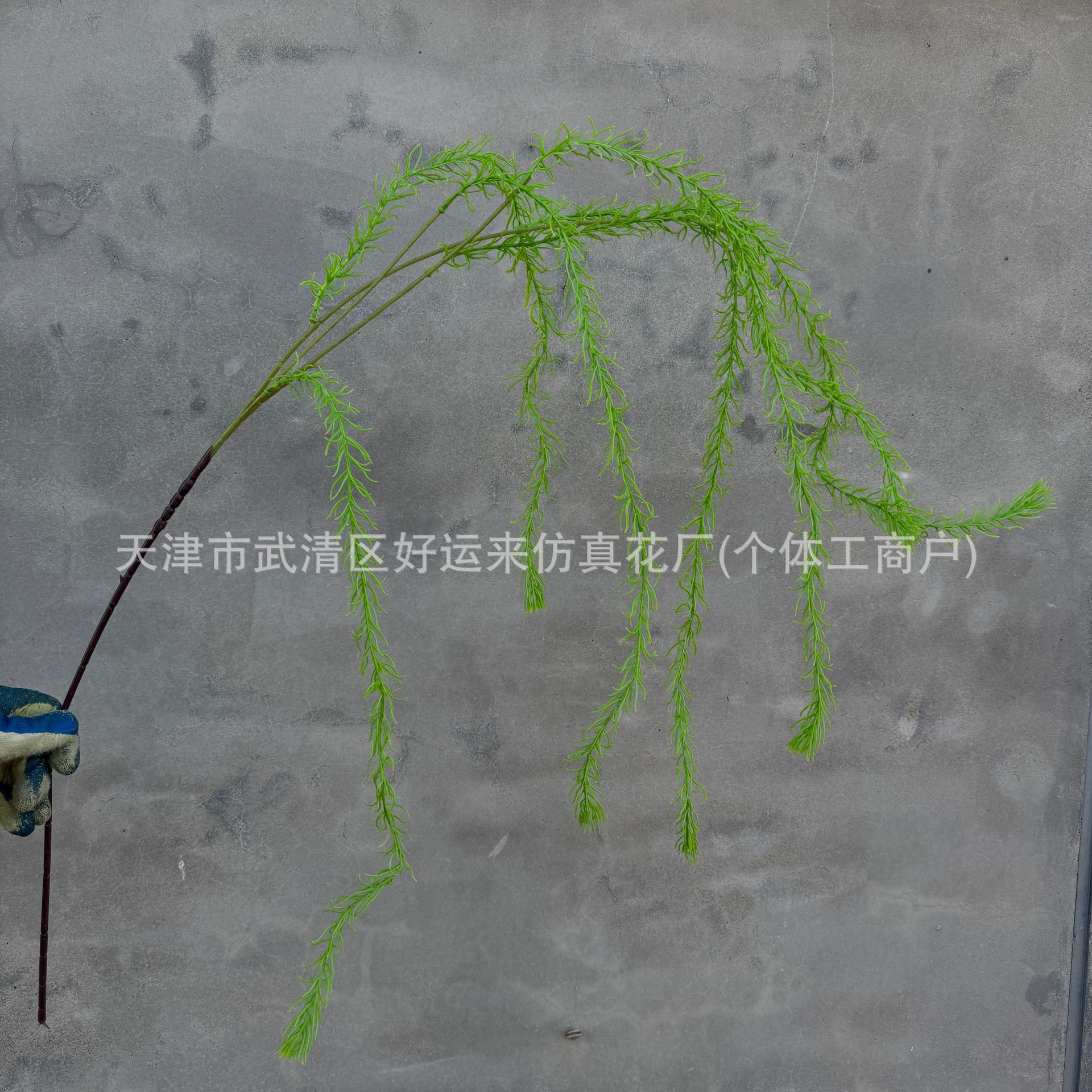 큰 피닉스 테일 라이트 그린