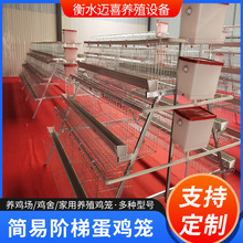 三层四门绿槽蛋鸡笼   镀锌丝工艺   空间错位易清理粪便
