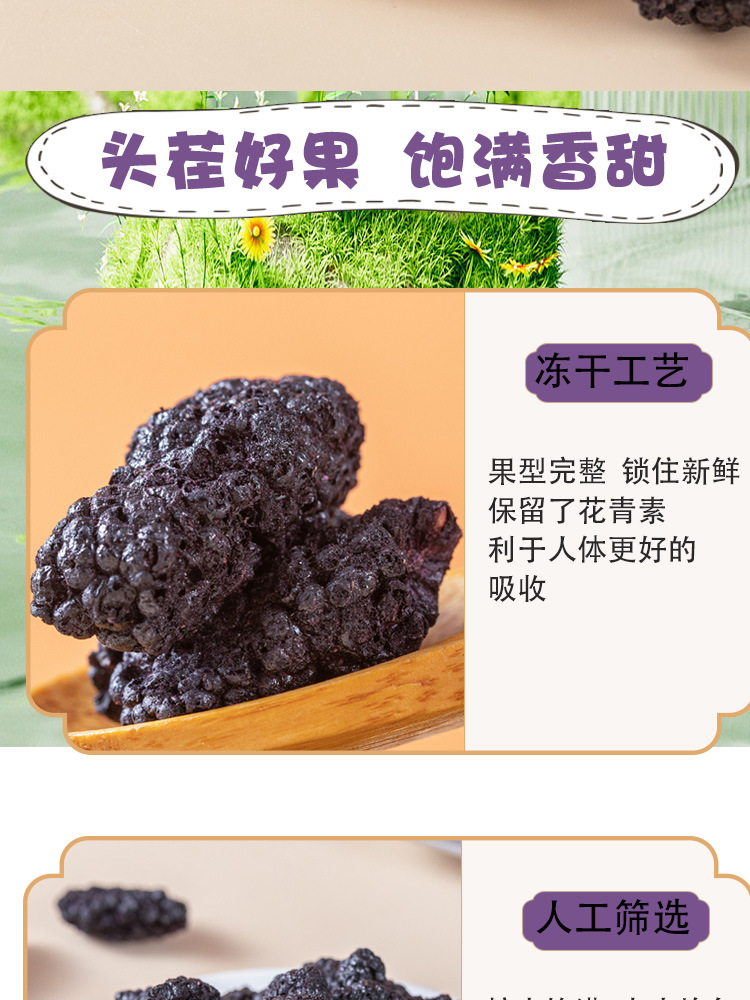 Freeze Dried Mulberry Fruit Dried Sang Shen Mulberry Tea and Wine Making 75g Jar specifications