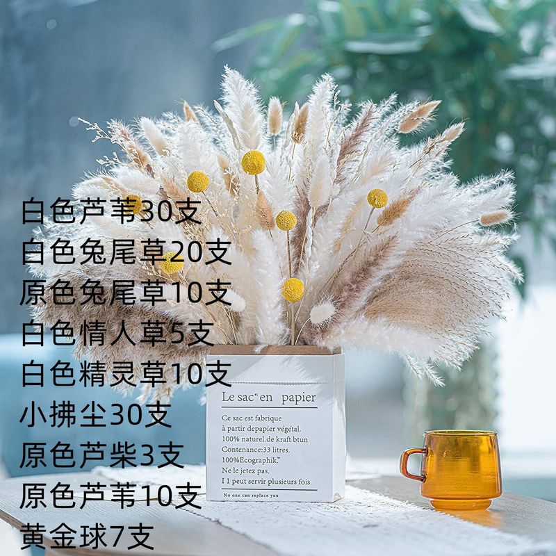 アマゾンはよく売れています。葦の花の花束です。|undefined