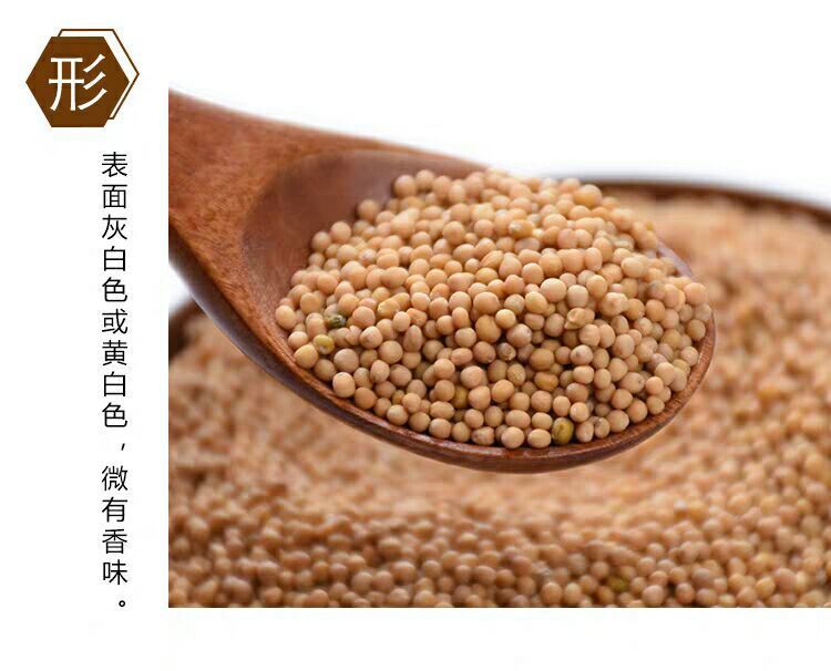 White Mustard Seed Bai Jie Zi 500g Dried Semen Sinapis Albae Traditional Chinese Herb for Decoction and External Use quality and texture