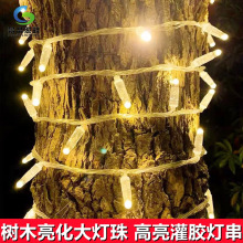 �����ˮ���z���������}�Q�����@���������̟����Շ��b����͟���