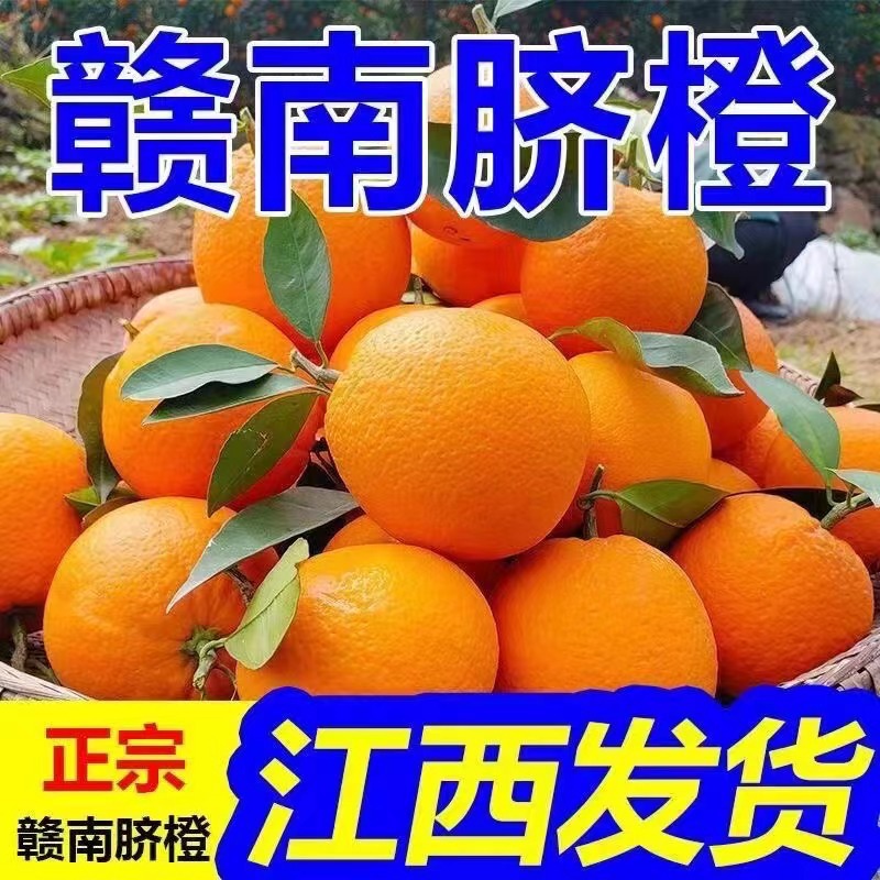 正宗赣南脐橙10斤橙子新鲜江西赣州果冻橙手剥冰糖甜橙应当季水果