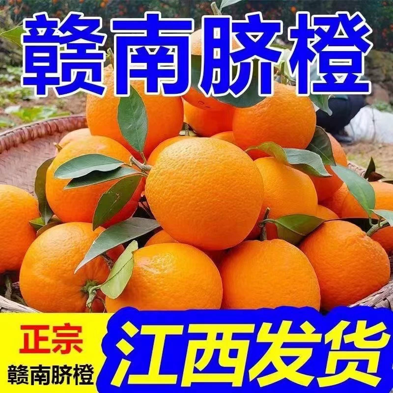 Аутентичные апельсины Gannan Navel 5kg свежих желейных апельсинов Jiangxi Ganzhou, сладкие апельсины с ручной очисткой, сезонные фрукты.