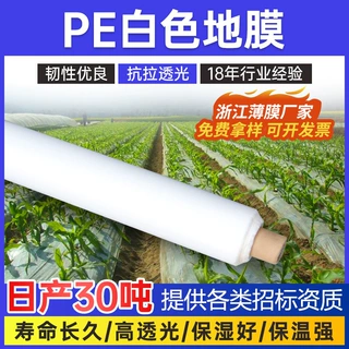 薄膜PE聚乙烯地膜塑料大棚膜保温塑料膜整卷打孔可降解农用地膜