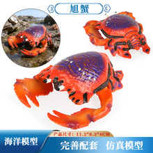 �羳���溣���з��з����з�ľ�з����з���з��зģ�̓�ͯ���