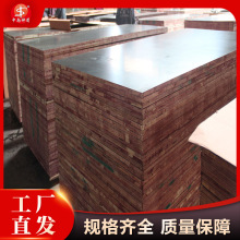 ڸĤߴ׼ ҎRȫ γ ɷD S