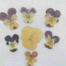 ������ ��ɫ�� �Sɫ�� �ɻ�Ѻ�������� ֲ��̌W�˱����z�Ʒ�ɻ�