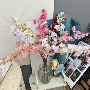 ����ѻ����һ�����滨�٘���;W�t�S��҃ȑ����쾰�b٘�
