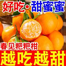四川耙耙柑丑橘春见粑粑柑橘子新鲜应季水果桔子