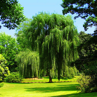 �S���� ��z���� ����С�� ����֦�l ���������紹������������