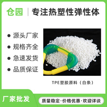 tpeԭ�ϏS�� ���٤�|����������ע���z�w�� tpe�����ԏ����w